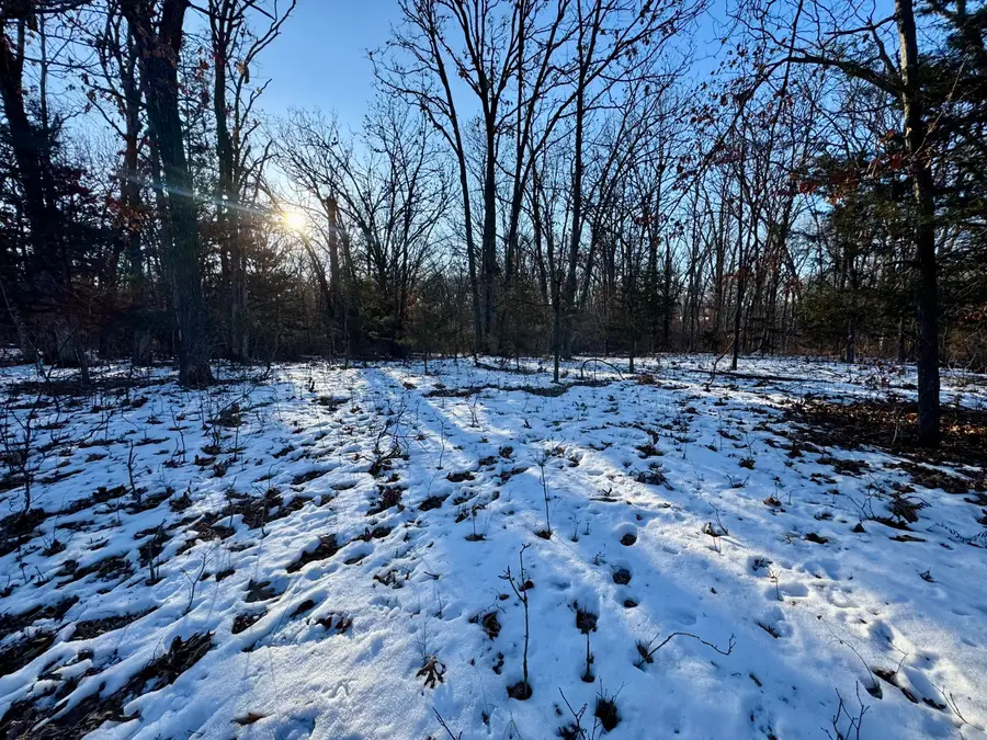 TRACT 2 E Mt Zion Church Rd, Hallsville, MO 65255 - Image #2