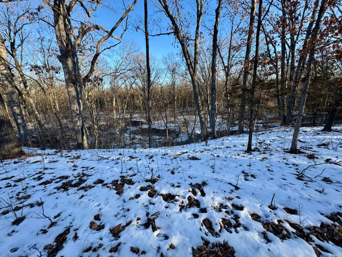 TRACT 3 E Mt Zion Church Rd, Hallsville, MO 65255 - Image #1