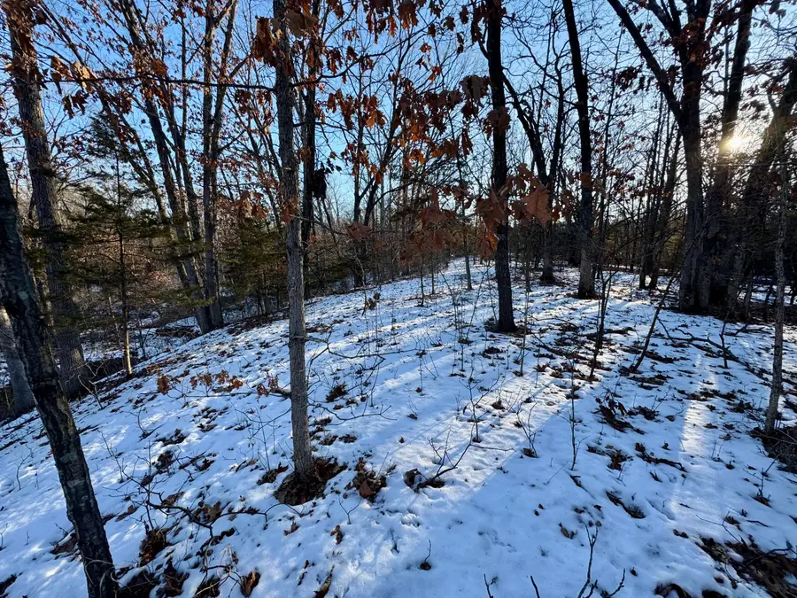 TRACT 3 E Mt Zion Church Rd, Hallsville, MO 65255 - Image #2