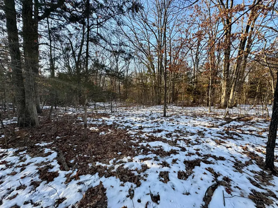 TRACT 3 E Mt Zion Church Rd, Hallsville, MO 65255 - Image #3