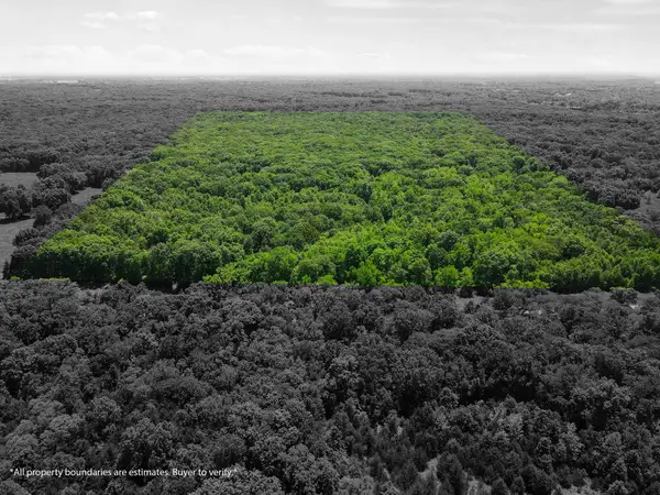 40 ACRES N Phillipe Rd, HALLSVILLE, MO 65255