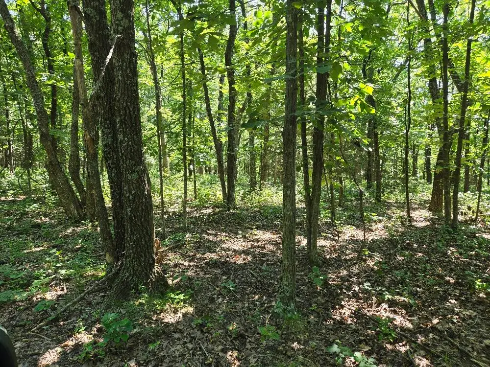 State Hwy 42, Belle, MO 65013 - #1