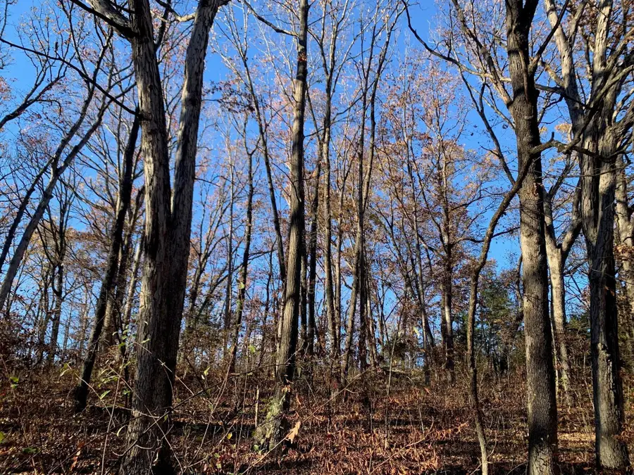 9.04 ACRES N Ridge Rd, Harrisburg, MO 65256 - #2