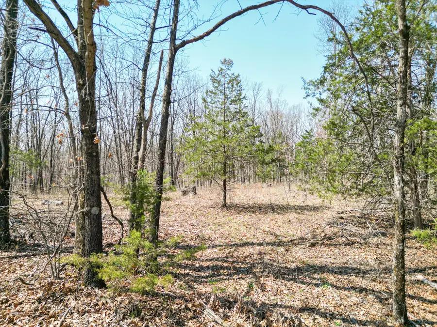 TRACT 1 State Route A, Higbee, MO 65257 - #3