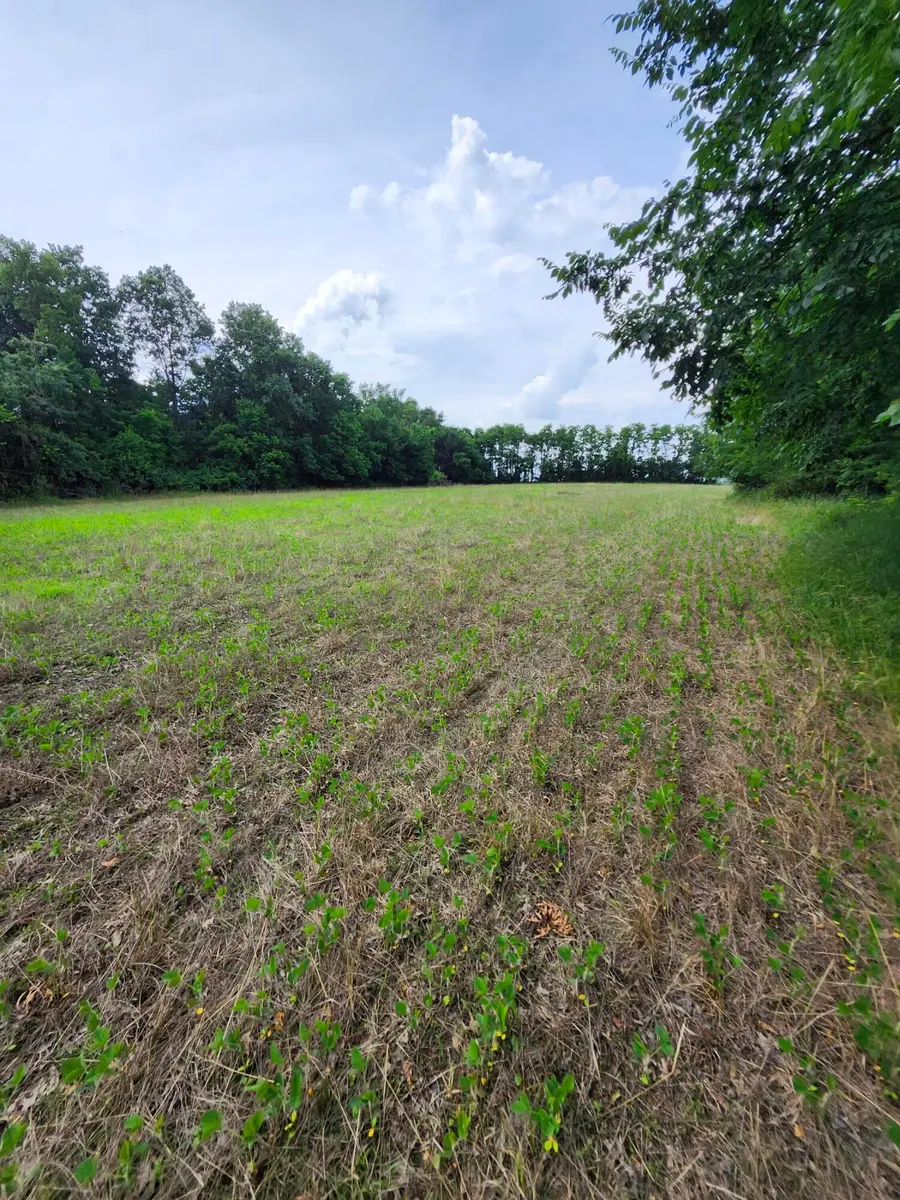TRACT 4 E Mchatton Rd, Sturgeon, MO 65284 - #2