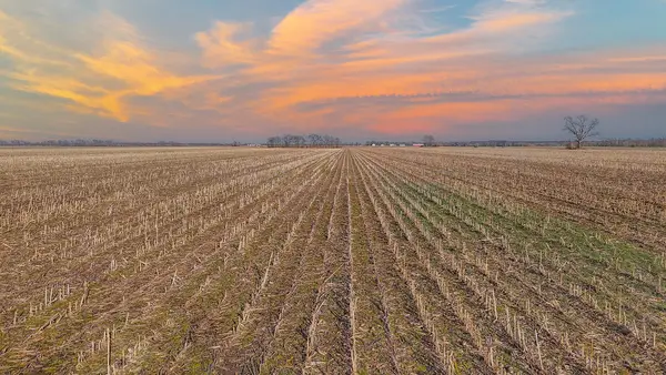 212 ACRES Co Rd 360, CENTRALIA, MO 65240