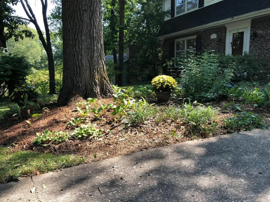 3714 Berrywood Dr, Columbia, MO 65201 - #2