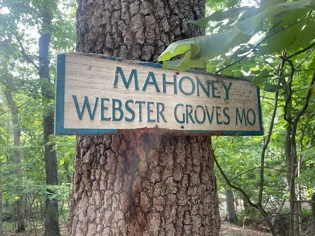 713 Muirfield Dr, Sunrise Beach, MO 65079 - #2