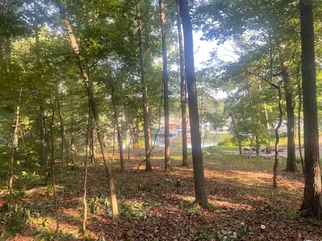 713 Muirfield Dr, Sunrise Beach, MO 65079 - #3