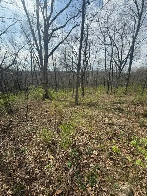 1106 W Old Plank Rd, COLUMBIA, MO 65203