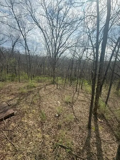 1106 W Old Plank Rd, Columbia, MO 65203 - #2