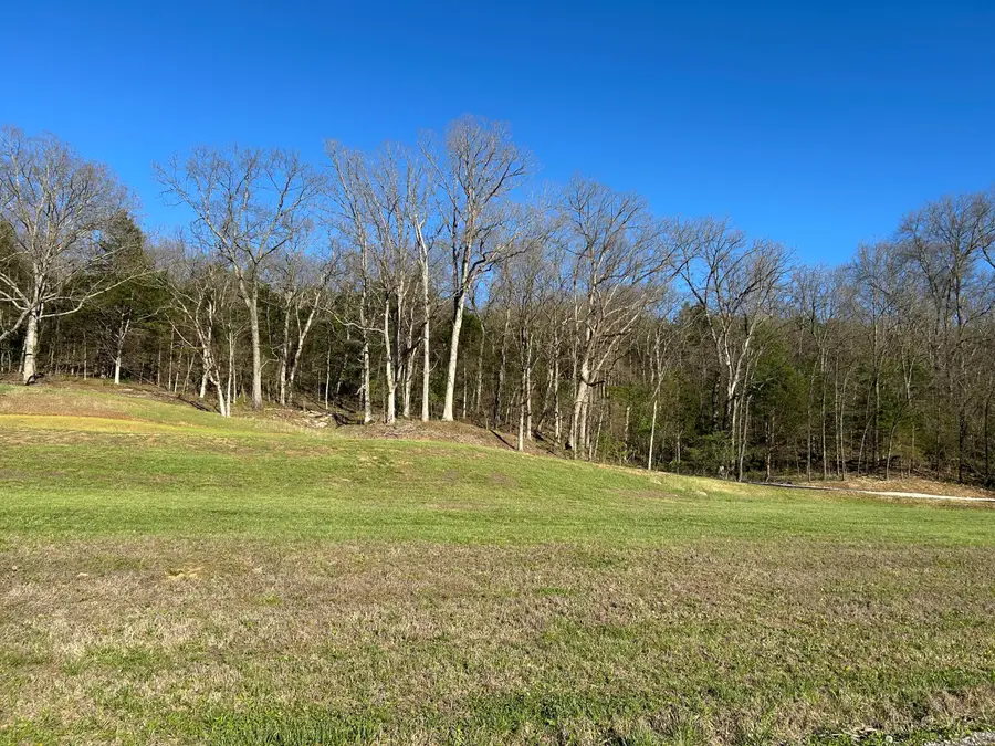 TRACT 2-C County Road 449, Fulton, MO 65251 - #3