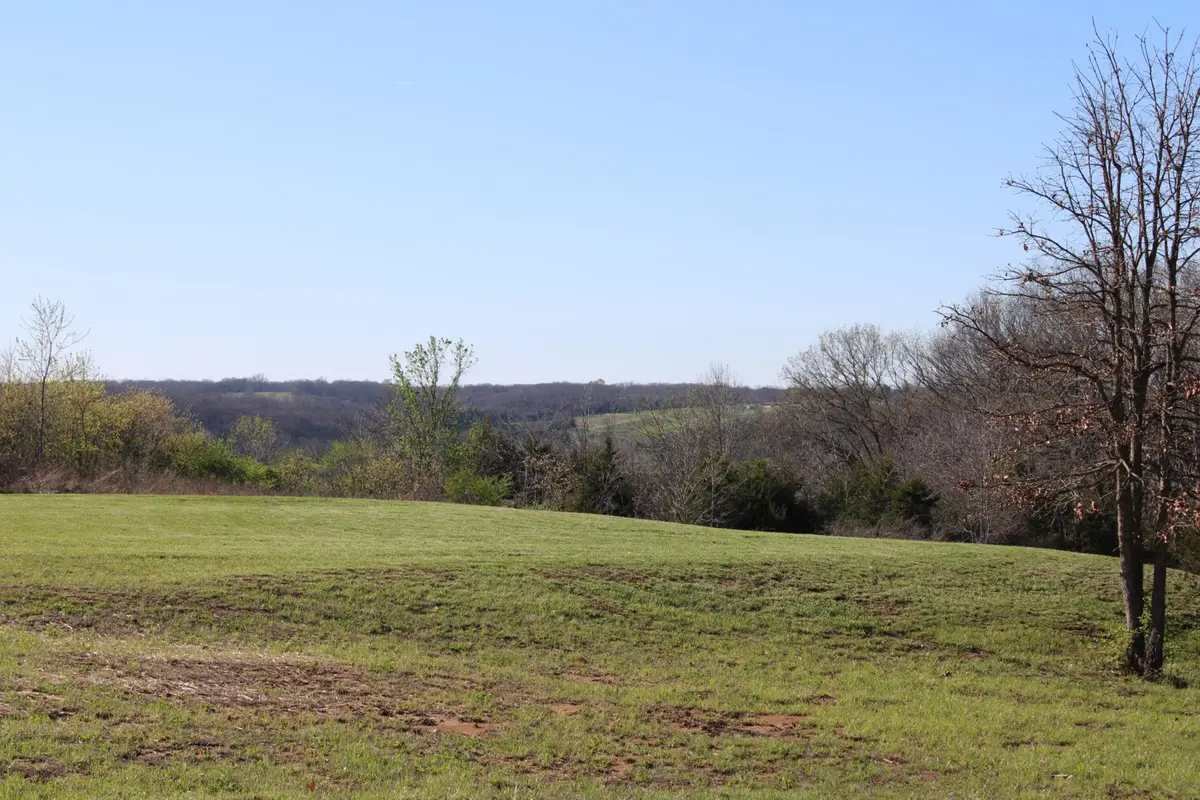 TRACT B-2 County Road 449, Fulton, MO 65251 - #1