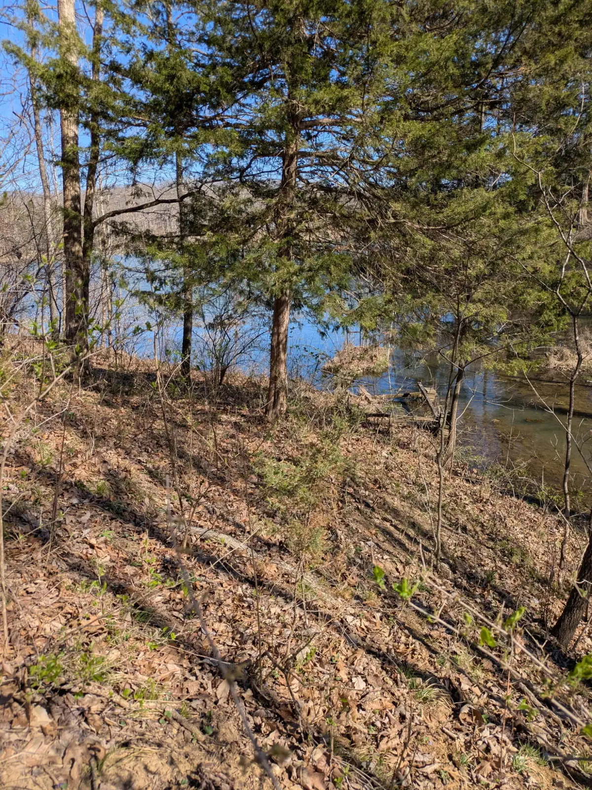 6149 Redwing Ln, Williamsburg, MO 63388 - #1