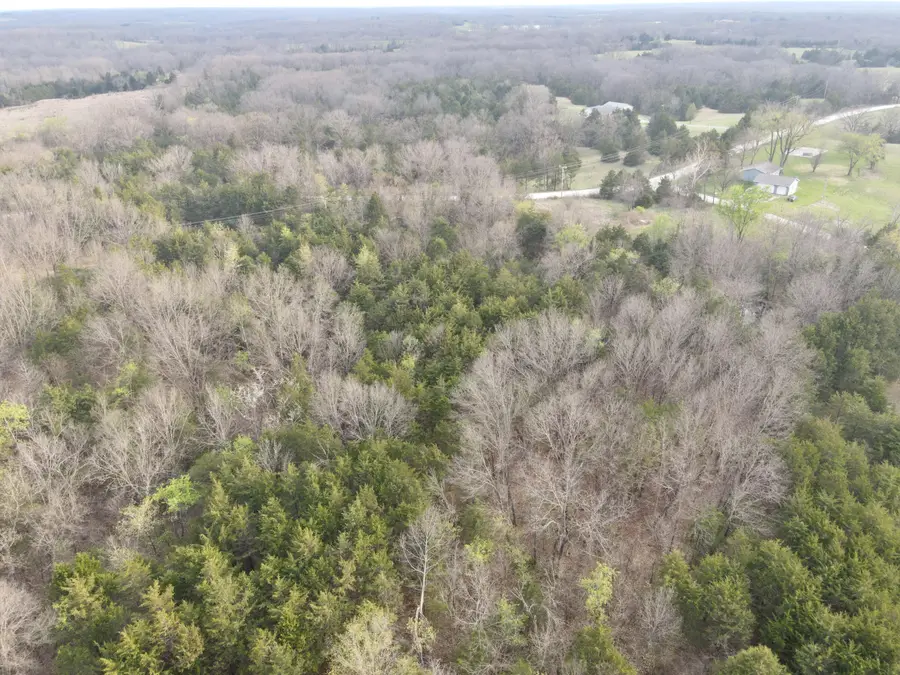 W Ridge Trail Rd, Clark, MO 65243 - #3