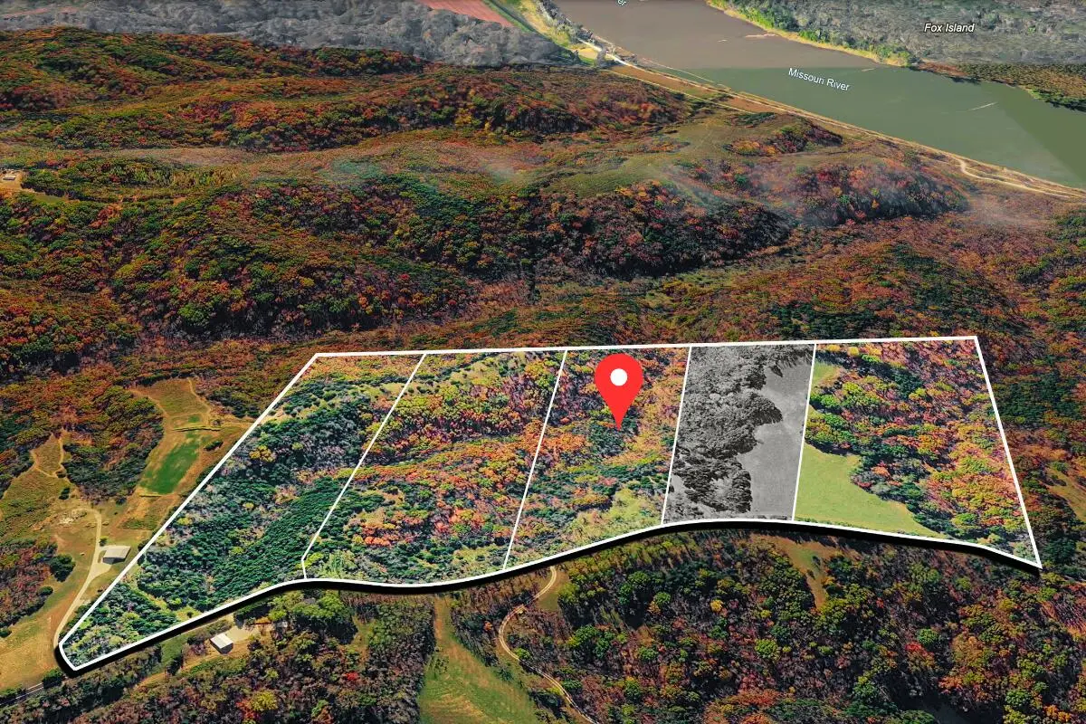 TRACT 3 E Cedar Tree Ln, Hartsburg, MO 65039 - #1