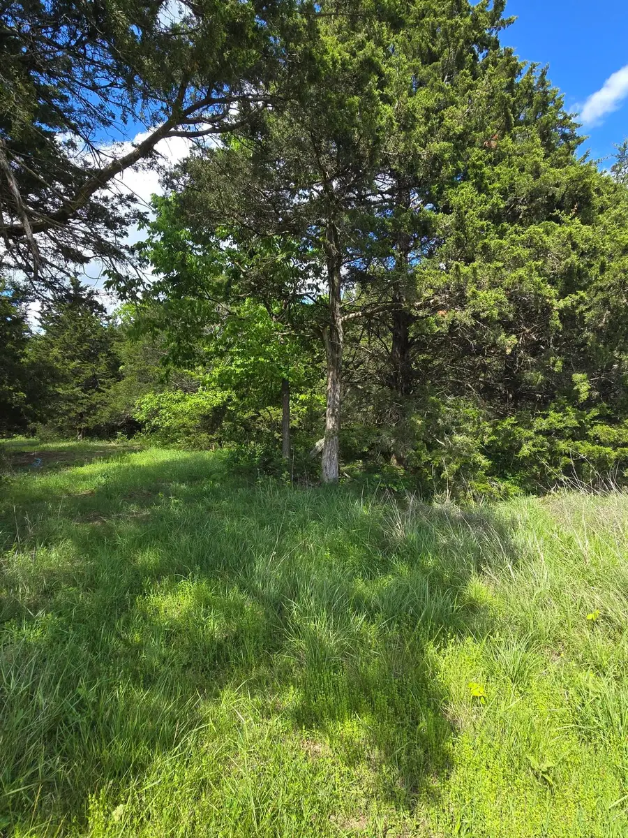 TBD Co Rd 353, Fulton, MO 65251 - #2