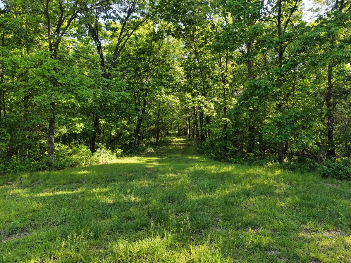 000037 Richland Heights Rd, Fulton, MO 65251 - #1
