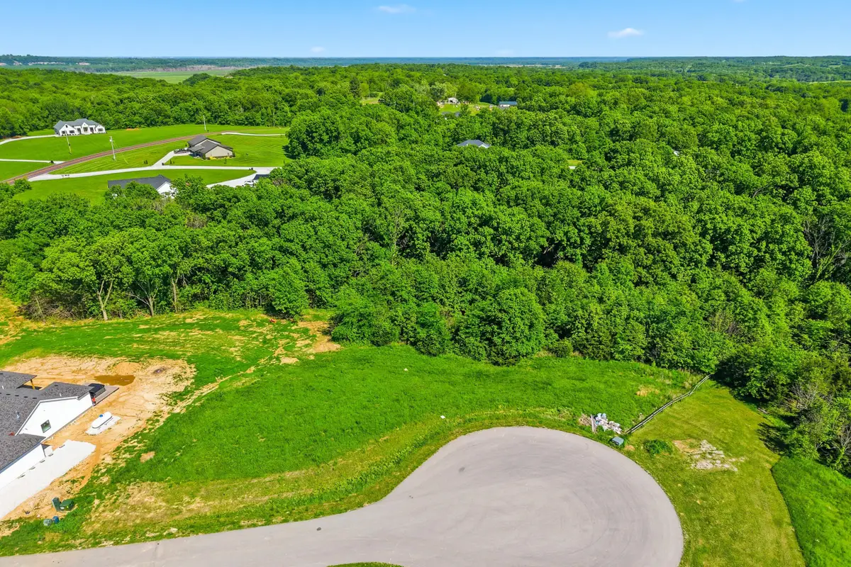 LOT 2 Falcon Way, Wooldridge, MO 65287 - #1