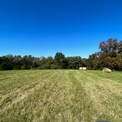 LOT 7-10 County Road 388, New Bloomfield, MO 65063 - #3