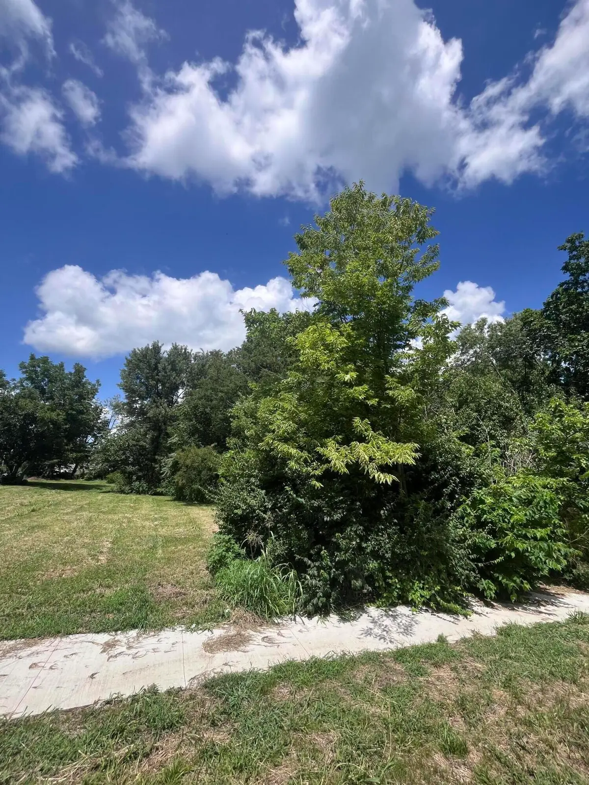 305 E Morgan St, Sedalia, MO 65301 - #1