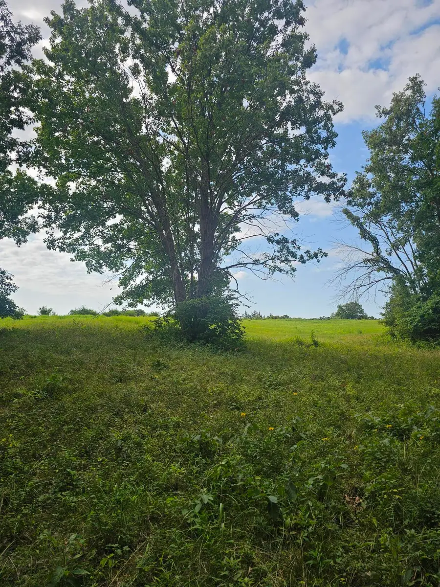 County Road 112, Fayette, MO 65248 - #3