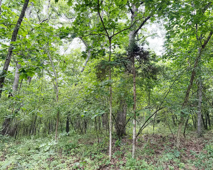 Shelby 381, Hunnewell, MO 63458 - #2