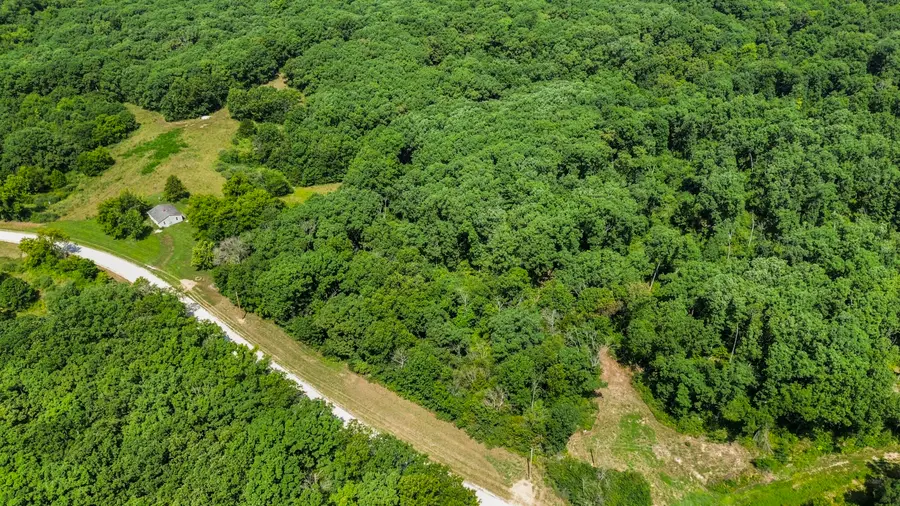 390 County Road 117, Harrisburg, MO 65256 - #3