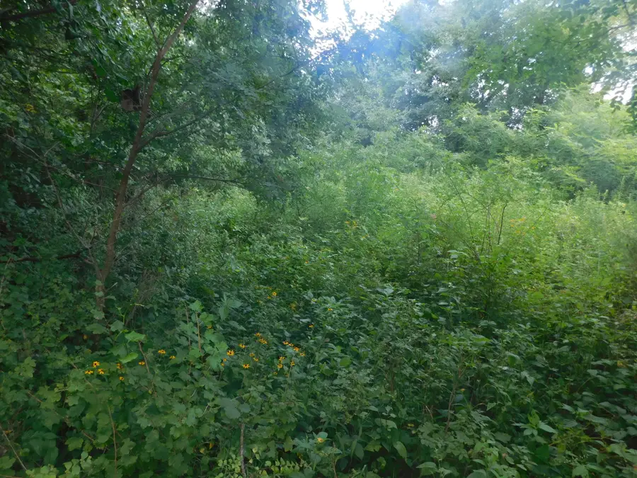 3100 County Road 2370, Moberly, MO 65270 - #2
