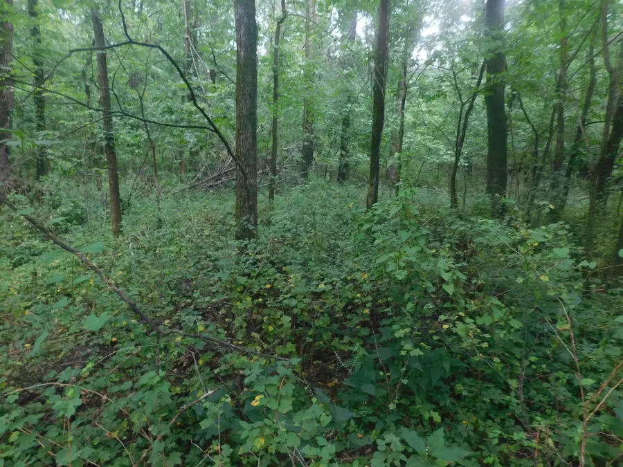 3100 County Road 2370, Moberly, MO 65270 - #3