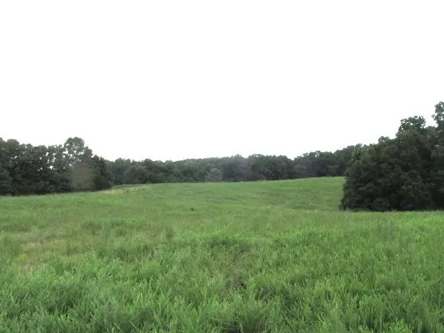 S Bob Veach Rd, Ashland, MO 65010 - #2