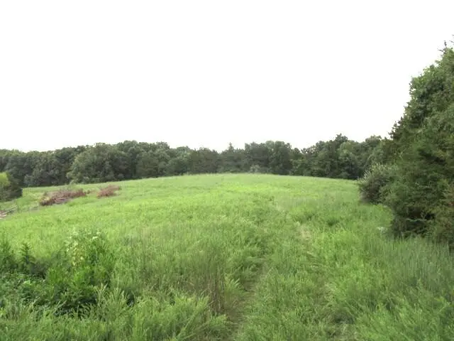 S Bob Veach Rd, Ashland, MO 65010 - #3
