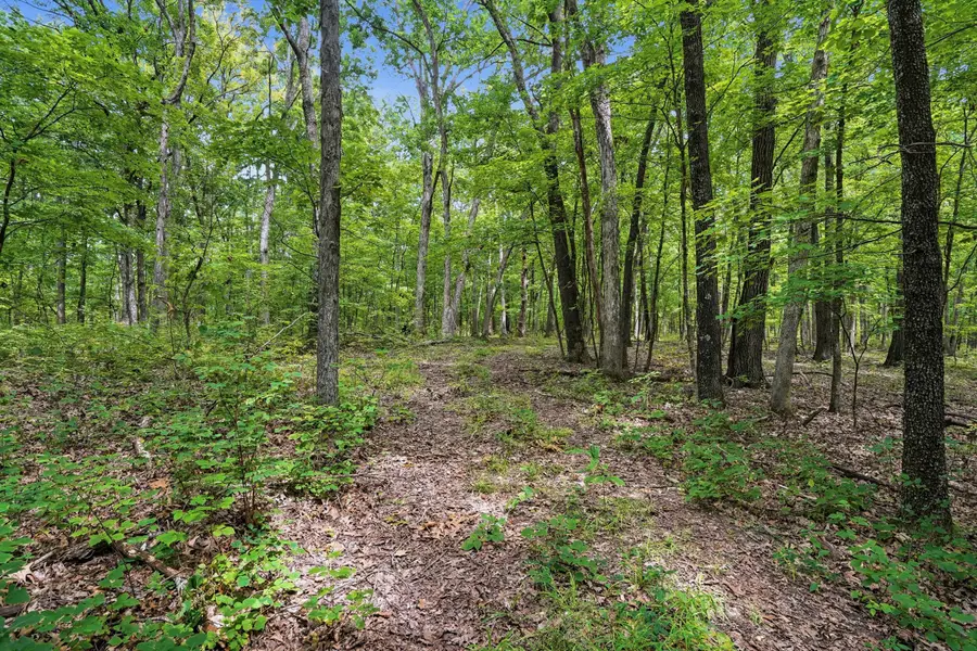 40 +/- AC E Dee Woods Rd, Ashland, MO 65010 - #2