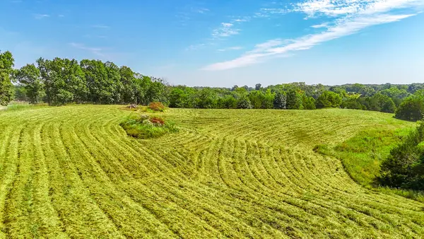 N Barnett School Rd, STURGEON, MO 65284