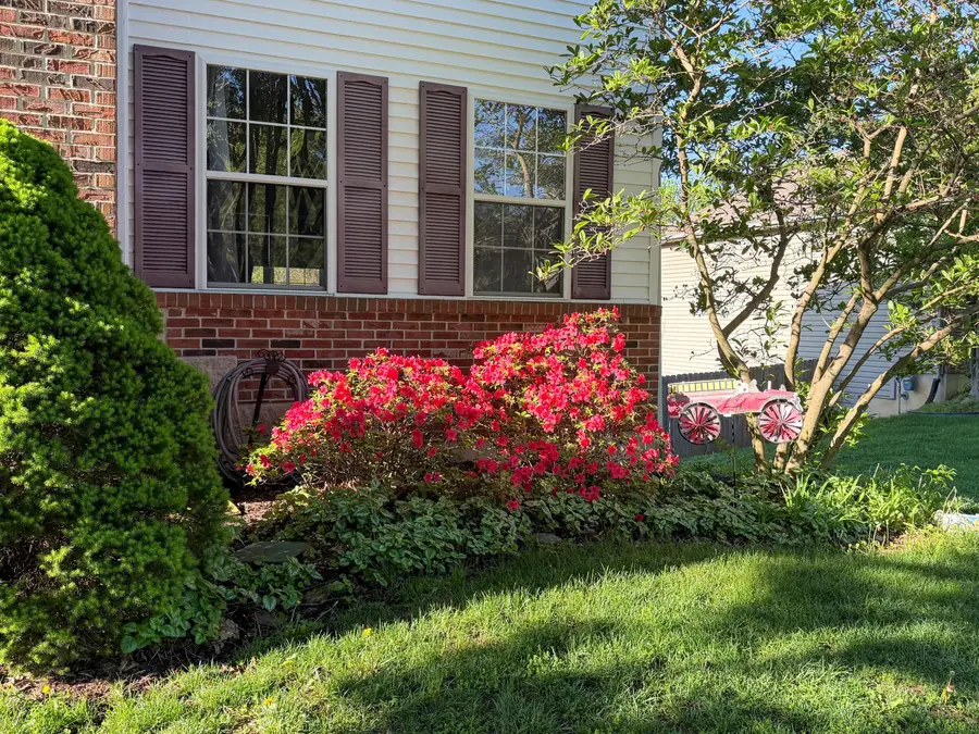 3900 Daylily Ct, Columbia, MO 65203 - #3