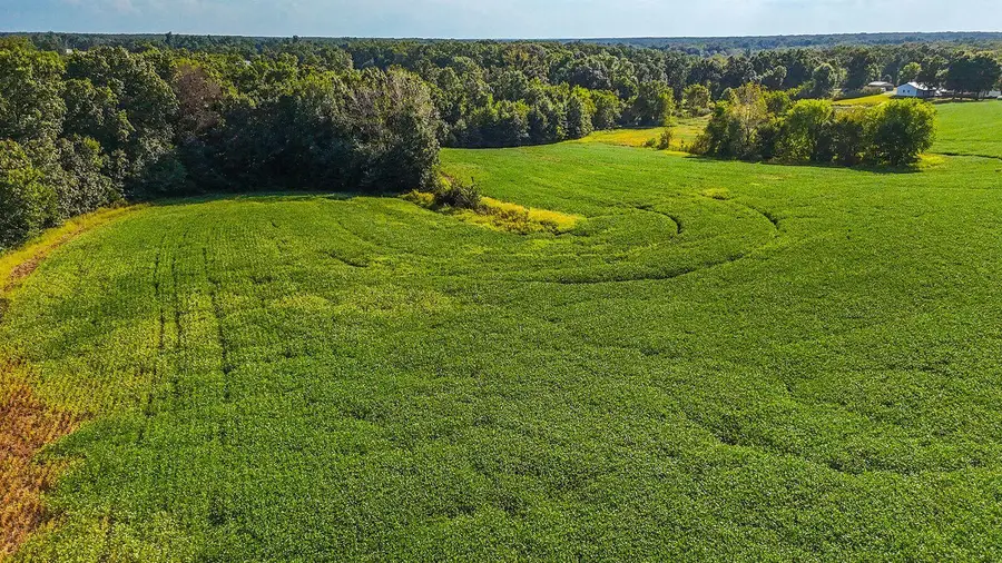 1508 County Road 2695, Clark, MO 65243 - #2
