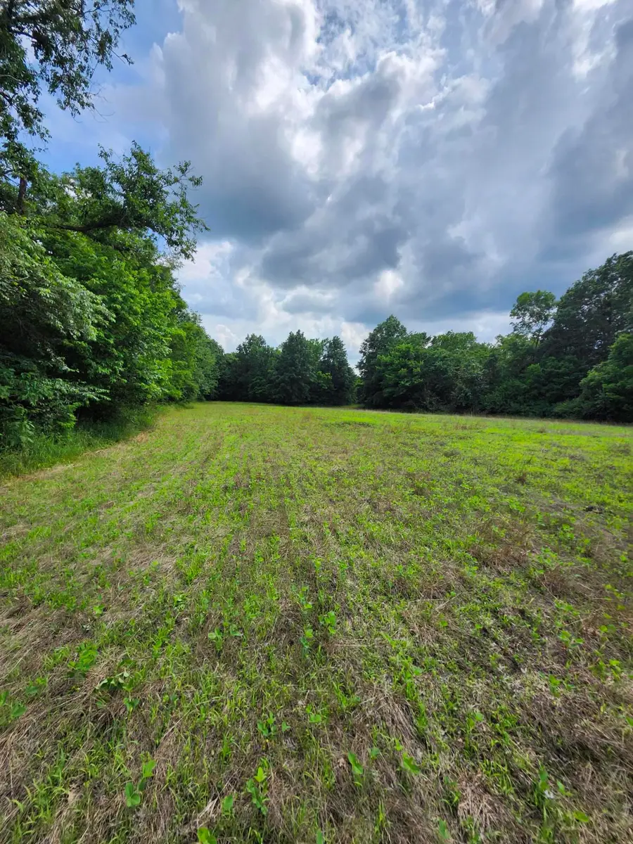 TRACT 4 E Mchatton Rd, Sturgeon, MO 65284 - #3