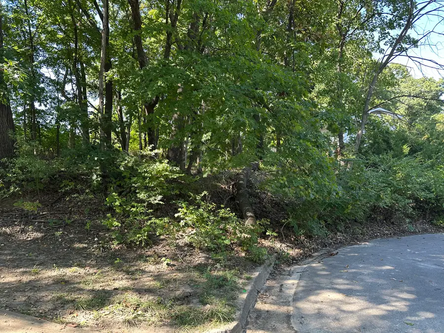 Belleview Ct, Columbia, MO 65203 - #3