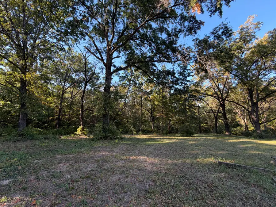 2411 N Earthland Rd, Columbia, MO 65202 - #3
