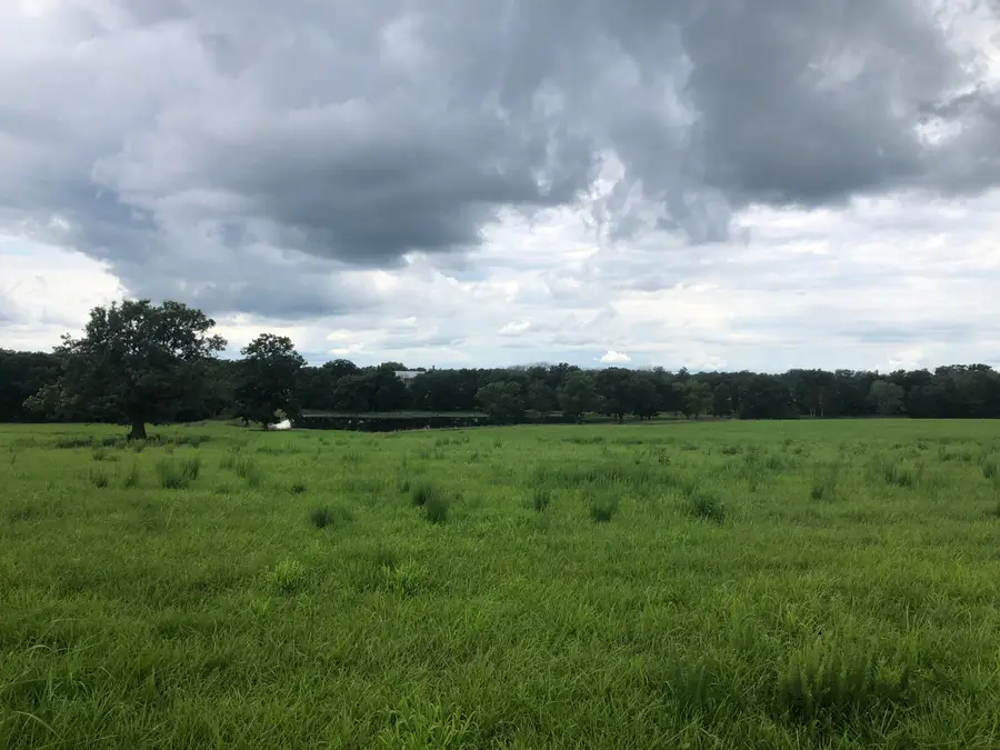 LOT 2 S Hagans Rd, Ashland, MO 65010 - #3