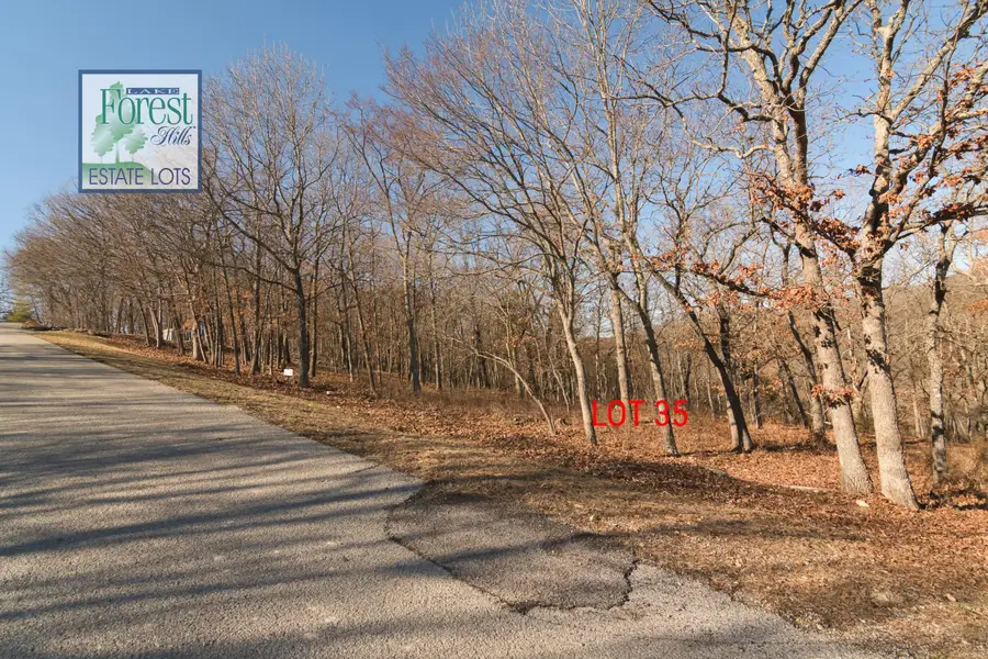 Lots 35&36 Canada Drive, Branson West, MO 65737 - Image #3