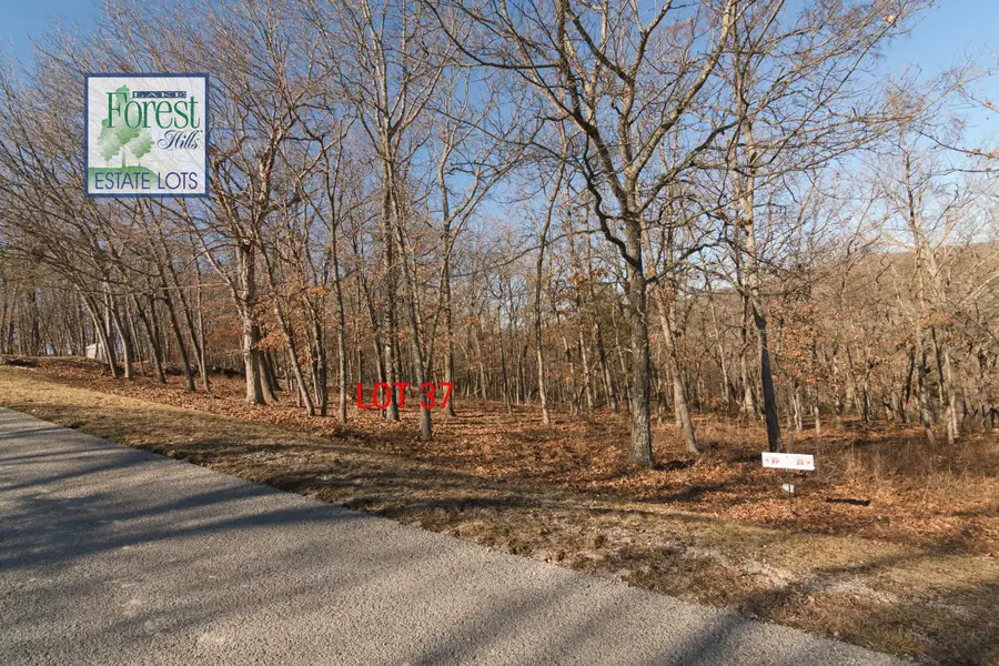 Lot 37 Canada Drive, Branson West, MO 65737 - Image #3
