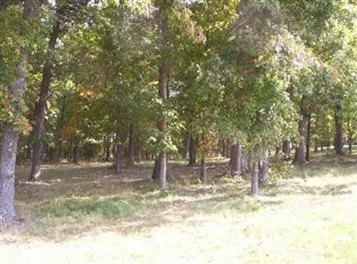 900 Banning Street, Marshfield, MO 65706 - Image #3