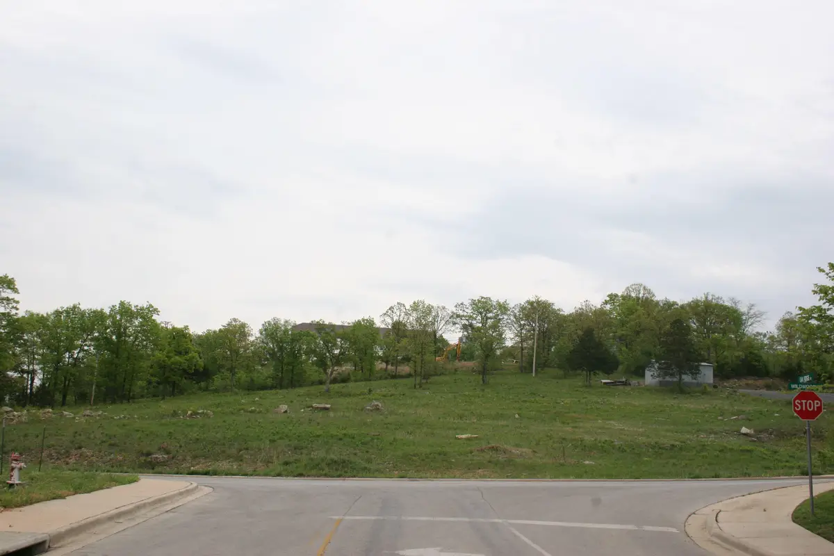 Lot 6 Wildwood Drive, Branson, MO 65616 - #1