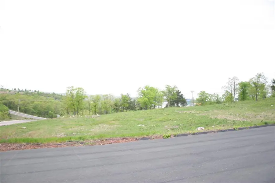 Lot 6 Wildwood Drive, Branson, MO 65616 - #2