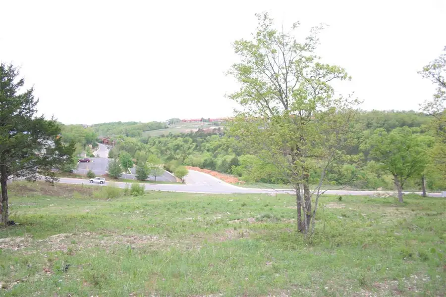 Lot 6 Wildwood Drive, Branson, MO 65616 - #3