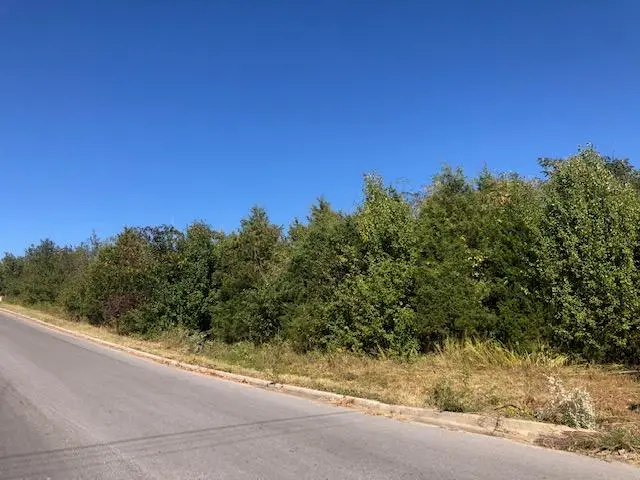 Tbd Kentucky Avenue, West Plains, MO 65775 - Image #1