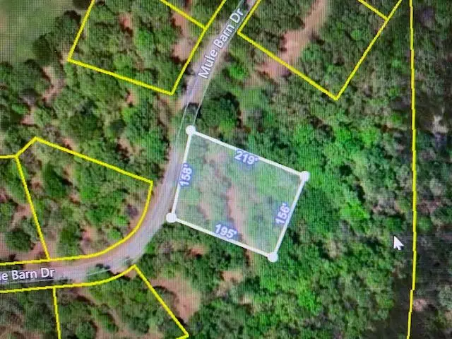 0 Mule Barn Drive, Cape Fair, MO 65624 - Image #1