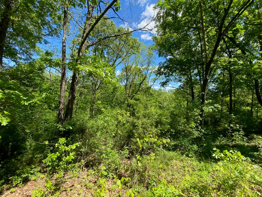 0 Mule Barn Drive, Cape Fair, MO 65624 - Image #3