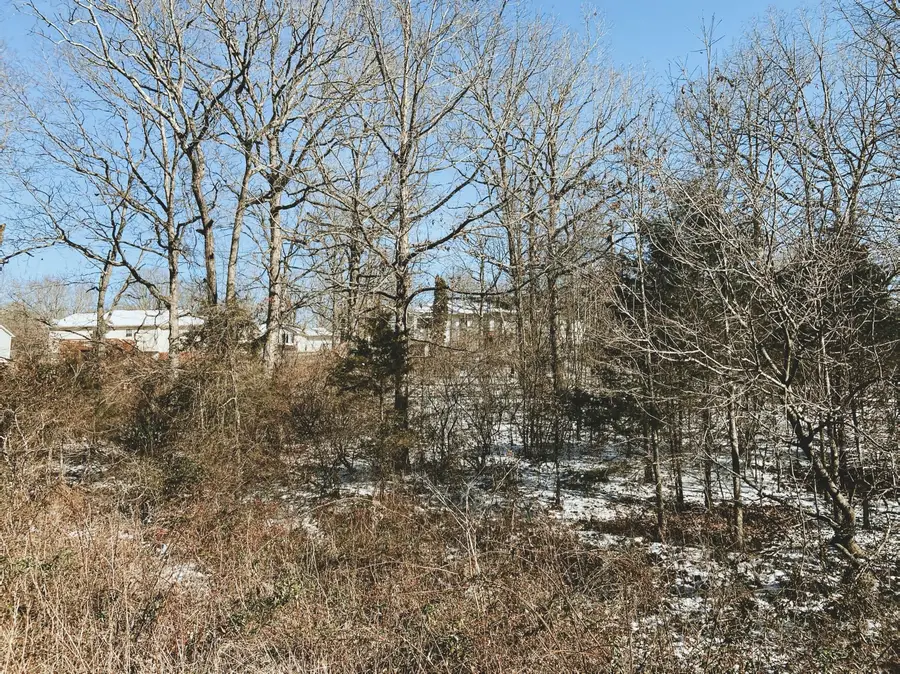 000 Ginger Drive Lot 11, West Plains, MO 65775 - Image #2